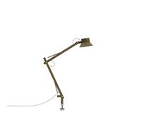 Dedicate S2 Lampe à Poser avec Épingle Marron Vert