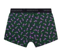 DEDICATED - Boxer Briefs Kalix Egg Plant - Sous-vêtement - S - dark green