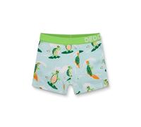Dedoles Boxer Homme & Garçon sous-vêtements Caleçon Coton Beaucoup Designs Amusants, Couleur: Bleu, désign: Tortue Le Surfeur (garçon), Taille: 4-6 Ans