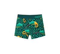 Dedoles Boxer Homme & Garçon sous-vêtements Caleçon Coton Beaucoup Designs Amusants Hockey Barbecue Football Citron Lime Cadeau, Couleur: Vert, désign: Caméléon à la Chasse (Garçon), Taille: 6-8 Ans