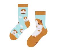 Dedoles Chaussettes Unisexe Homme Femme & Enfants beaucoup designs amusants gauche droite différent, couleur: Bleu, motif: Cochon d’Inde, taille: 39-42