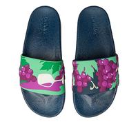 Dedoles Chaussure & Pantoufles Homme Femme & Enfants Sandales Antidérapant designs amusants Livre Pizza Café Renard Lama Cadeau, Couleur: Vins et raisins, Taille: 37 EU