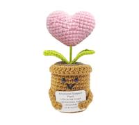 deegbbyi Emotional Support Plant, Plantes Positives Amusantes, Cadeau D'énergie Positive Crochet, Pot de Fleur au Crochet avec Carte Inspirante, pour Femme, Petite Amie, Mère, Cadeau