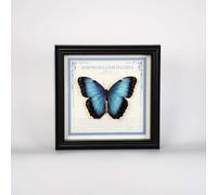 DEEguess Cadre Photo DéCoration SpéCimen De Papillon Cadre Photo Insecte Adapté à La Collection De Papillons DéCoration Murale De Table SpéCimen De Papillon Encadré,17CM