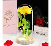 DEEMEI Rose éternelle pour la fête des mères, cadeau d'anniversaire pour maman, épouse, petite amie, rose en cristal dans un dôme en verre pour la fête des mères