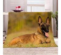 DEEMOL Couverture Queen Chaude Flanelle Couverture Malinois Belge 3D Imprimée Adulte Doux Chaud Couverture Animaux Chien Lit Canapé Travel Camping Polaire Couverture 180x220 cm