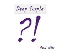 DEEP PURPLE - NOW WHAT? 2 VINYL LP 12 TRACKS CLASSIC ROCK & POP METAL NEUF