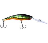 Deep Tail Dancer 11 FLP, Flash Perch