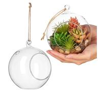 DEEPCRAFF Ensemble de 2 Terrariums Suspendus en Verre Transparent, Pots Ronds pour Plantes Aériennes Et Succulentes, Mini-sphères Décoratives pour La Maison Et Le Bureau.