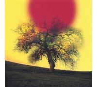 Deeper The Roots