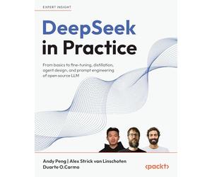 DeepSeek in Practice: From basics to fine-tuning, distillation, agent design, and prompt engineering of open source LLM