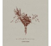 Deer, Loner - Wildflowers