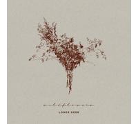 Deer, Loner - Wildflowers