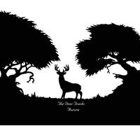 Deer Tracks - Aurora
