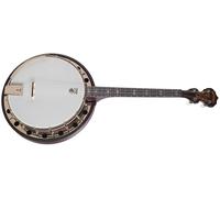 Deering Artisan Goodtime Special 17-Fret Tenor