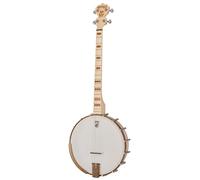 Deering Deering Goodtime 19-Fret Tenor Banjo