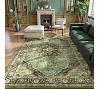 Deerly Grand Tapis Lavable et antidérapant pour Salon, Chambre à Coucher, Salle à Manger, Tapis de Sol à Poils Courts pour Enfants et Animaux domestiques (Vert Bordure)