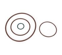Deevayum Kit de Joint de Pompe à Vide, ABS, 06D145100H, Gli 2005-2008.5. | Joint Torique Assortiment, Construction ABS, Pièces de Rechange pour A3 TT, Applications 2.0t FSI, BPY BPG BWT BGB
