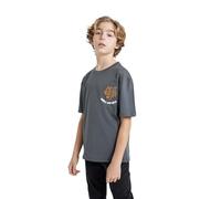 DeFacto B6411A8 T-Shirt pour Garçons - T-Shirt Tendance Et de Haute Qualité pour Garçons - T-Shirt pour Enfants Garçons, Grey