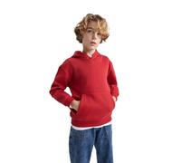 DeFacto B7773A8, Sweat à Capuche Garçons, Bordeaux,