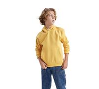 DeFacto B7773A8, Sweat à Capuche Garçons, Yellow,