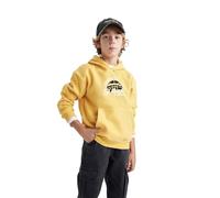 DeFacto B7821A8, Sweat à Capuche Garçons, Yellow,