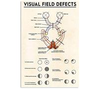 Défauts du champ visuel Plaque en métal Connaissances d'optométriste Affiche rétro Médecin Bureau Plaque éducative Art Maison Clinique Hôpital Décoration murale 8x12 pouces