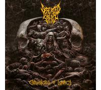Defeated Sanity – Chronicles of Lunacy – Vinyle 12" (33 tours)