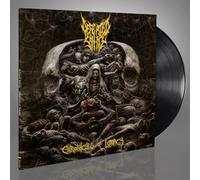 Defeated Sanity – Chronicles of Lunacy – Vinyle 12" (33 tours)