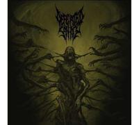 Passages Into Deformity