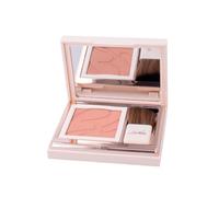 I.c.i.m. (bionique) Internation Defence Color Pretty Touch Fard Compatto 302 Pech