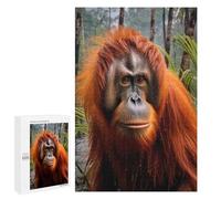 Défi Créatif - Portrait Orang Utan, 1000 PCS, Puzzle À Exposer, Soirée Puzzle en Famille - À Assembler, Encadrer Et Exposer