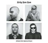 Birdy Nam Nam - Defiant Order Remixes
