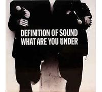 Definition of Sound - What are you under / Vinyl single [Vinyl-Single 7'']