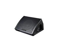 Definitive Audio Koala 15aw Monitor - Retour de scène 1000W