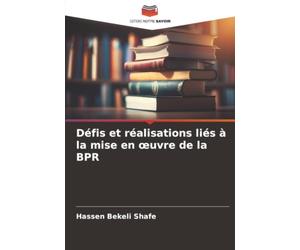 Défis et réalisations liés à la mise en œuvre de la BPR