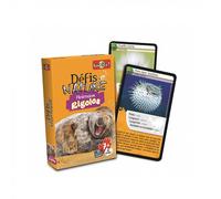 Defis nature animaux rigolo
