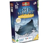 Défis nature : Saint-barthélemy Multicolore