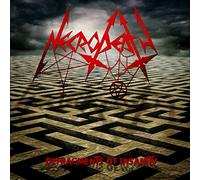 Defragments Of Sanity