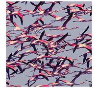 Deftones - Gore - CD - 43 - F23z