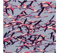 Deftones - Gore [New Vinyl LP]