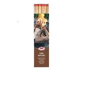 degawo Lot de 50 allumettes extra longues (28 cm) dans une boîte à allumettes.