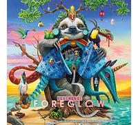 Degiheugi – Foreglow – Vinyle Gatefold – MP3 inclus – Import