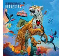 Degiheugi Orchestra Vinyle