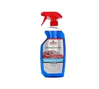 Dégivreur de Fenêtre Pulvérisateur à Pompe 750 ml