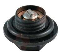 Degommeur grundfos + joint, frisquet, ref. F3aa40443 G