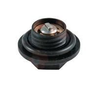 Degommeur grundfos + joint, frisquet, ref. F3aa40443 G