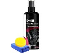 Dégraissant Moteur Haute Performance - Spray Nettoyant Moteur 100ml,Outil Nettoyage Auto pour Lavage Compartiment Machine Pièces,Pièces Machine Extérieures et Intérieures