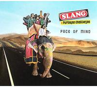 Degryse, Fabien - Pace of Mind