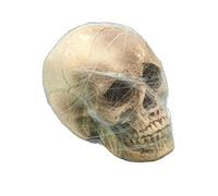 DEGUISE TOI - Décoration crâne avec toile d'araignée - 1 Crâne - Taille Unique - Coloré - Decoration/Animation - Polystyrène - - Halloween